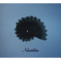 Ｎａｕｔｉｌｕｓ「 Ｎａｕｔｉｌｏｉｄ　Ｍａｔｔｅｒ」