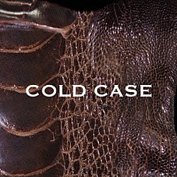 ｖｉｓｔｌｉｐ「ＣＯＬＤ　ＣＡＳＥ」