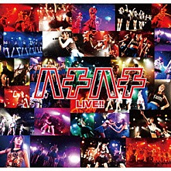 大阪☆春夏秋冬「「ハチハチ」ＬＩＶＥ！！」