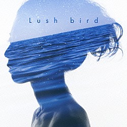 ｂｉｒｄ「Ｌｕｓｈ」