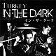 ＴＵＲＫＥＹ「Ｉｎ　Ｔｈｅ　Ｄａｒｋ」