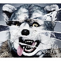 ＭＡＮ　ＷＩＴＨ　Ａ　ＭＩＳＳＩＯＮ「 Ｔｈｅ　Ｗｏｒｌｄ’ｓ　Ｏｎ　Ｆｉｒｅ」