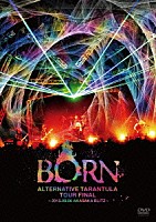 ＢＯＲＮ「 オルタナティヴ・タランチュラ　ＴＯＵＲ　ＦＩＮＡＬ　～２０１５．０９．０６　赤坂ＢＬＩＴＺ～」