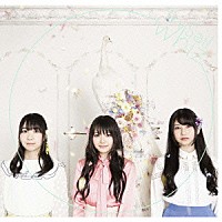 ＴｒｙＳａｉｌ「 ｗｈｉｚ」