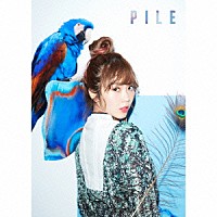 Ｐｉｌｅ「 ＰＩＬＥ」