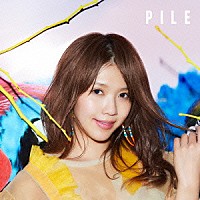 Ｐｉｌｅ「 ＰＩＬＥ」