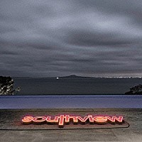 ＭＯＮＫＥＹ　ＭＡＪＩＫ「 ｓｏｕｔｈｖｉｅｗ」