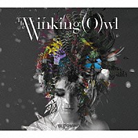 Ｔｈｅ　Ｗｉｎｋｉｎｇ　（Ｏ）ｗｌ「 ＢＬＯＯＭＩＮＧ」
