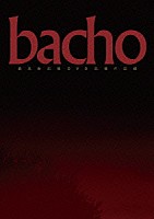 ｂａｃｈｏ「 最高新記憶ＤＶＤ　～記憶の記録～」