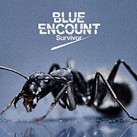 ＢＬＵＥ　ＥＮＣＯＵＮＴ「 Ｓｕｒｖｉｖｏｒ」