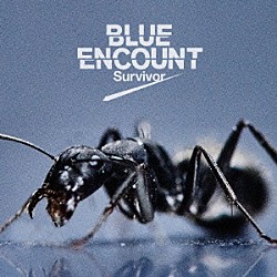 ＢＬＵＥ　ＥＮＣＯＵＮＴ「Ｓｕｒｖｉｖｏｒ」