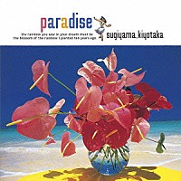 杉山清貴「 ｐａｒａｄｉｓｅ～夏の恋を続けよう～」