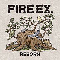 ファイヤー・イーエックス「 ＲＥＢＯＲＮ」