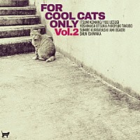 （Ｖ．Ａ．）「 ＦＯＲ　ＣＯＯＬ　ＣＡＴＳ　ＯＮＬＹ　ＶＯＬ．２」