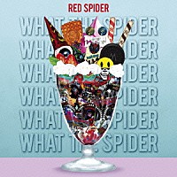 ＲＥＤ　ＳＰＩＤＥＲ「 ＷＨＡＴ　ＴＨＥ　ＳＰＩＤＥＲ」