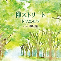 トワエモワ「 欅ストリート　ｃ／ｗ桜紅葉」