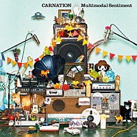 カーネーション「 Ｍｕｌｔｉｍｏｄａｌ　Ｓｅｎｔｉｍｅｎｔ」