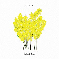 ＫＯＮＣＯＳ「 Ｃｏｌｏｒｓ　＆　Ｓｃａｌｅ」