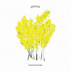 ＫＯＮＣＯＳ「Ｃｏｌｏｒｓ　＆　Ｓｃａｌｅ」