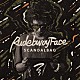 ＲＵＤＥＢＷＯＹ　ＦＡＣＥ「ＳＣＡＮＤＡＬ　ＢＡＧ」