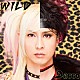 Ｄａｃｃｏ「ＷＩＬＤ」