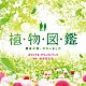 羽毛田丈史「植物図鑑　運命の恋、ひろいました　オリジナル・サウンドトラック」