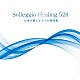 （ヒーリング） Ｙｕｚｏ　Ｈａｙａｓｈｉ「ソルフェジオ・ヒーリング５２８　心身を整える５つの周波数」