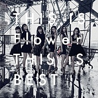 Ｆｌｏｗｅｒ 「ＴＨＩＳ　ＩＳ　Ｆｌｏｗｅｒ　ＴＨＩＳ　ＩＳ　ＢＥＳＴ」