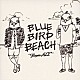 ＢＬＵＥ　ＢＩＲＤ　ＢＥＡＣＨ「ＴｒｏｐｉｃＡＬＬ」