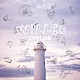 ＥＶＥＲＬＯＮＧ「ｗｉｌｌｃｏ」