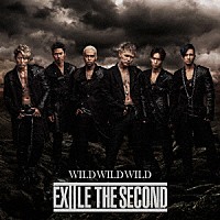 ＥＸＩＬＥ　ＴＨＥ　ＳＥＣＯＮＤ「 ＷＩＬＤ　ＷＩＬＤ　ＷＩＬＤ」