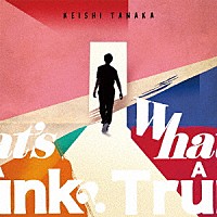 ＫＥＩＳＨＩ　ＴＡＮＡＫＡ「 Ｗｈａｔ’ｓ　Ａ　Ｔｒｕｎｋ？」