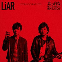 ポルノグラフィティ「 ＬｉＡＲ／真っ白な灰になるまで、燃やし尽くせ」