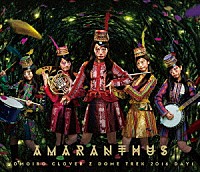 ももいろクローバーＺ「 ＭＯＭＯＩＲＯ　ＣＬＯＶＥＲ　Ｚ　ＤＯＭＥ　ＴＲＥＫ　２０１６　ＤＡＹ１　ＡＭＡＲＡＮＴＨＵＳ」