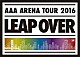 ＡＡＡ「ＡＡＡ　ＡＲＥＮＡ　ＴＯＵＲ　２０１６　ＬＥＡＰ　ＯＶＥＲ」