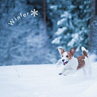 （クラシック）「 まるごと！冬　－Ｗｉｎｔｅｒ－」