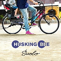 ＨＵＳＫＩＮＧ　ＢＥＥ「 Ｓｕｏｌｏ」