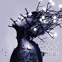 ＤＩＳＲＥＩＧＮ「 ＷＩＴＨＩＮ　ＴＨＥ　ＶＯＩＤ　－ＬＩＭＩＴＥＤ　ＥＤＩＴＩＯＮ－」