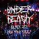 ｕｎｄｅｒｂｅａｓｔｙ「Ｂｌａｃｋ　Ｊｅｔ／Ｈｏｗ　ｍａｎｙ　ｋｉｓｓ？」