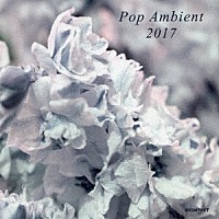 （Ｖ．Ａ．）「 ＰＯＰ　ＡＭＢＩＥＮＴ　２０１７」