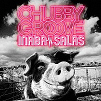 ＩＮＡＢＡ／ＳＡＬＡＳ 「ＣＨＵＢＢＹ　ＧＲＯＯＶＥ」