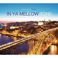 （Ｖ．Ａ．）「 ＩＮ　ＹＡ　ＭＥＬＬＯＷ　ＴＯＮＥ　１１　ＧＯＯＮ　ＴＲＡＸ　１０ｔｈ　Ａｎｎｉｖｅｒｓａｒｙ　Ｅｄｉｔｉｏｎ」