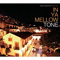 （Ｖ．Ａ．）「 ＩＮ　ＹＡ　ＭＥＬＬＯＷ　ＴＯＮＥ　ＧＯＯＮ　ＴＲＡＸ　１０ｔｈ　Ａｎｎｉｖｅｒｓａｒｙ　Ｅｄｉｔｉｏｎ」