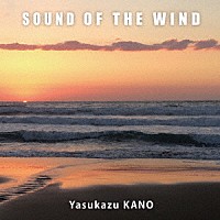 狩野泰一「 ＳＯＵＮＤ　ＯＦ　ＴＨＥ　ＷＩＮＤ」