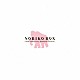 酒井法子「ＮＯＲＩＫＯ　ＢＯＸ　３０ｔｈ　Ａｎｎｉｖｅｒｓａｒｙ　Ｍａｍｍｏｔｈ　Ｅｄｉｔｉｏｎ」