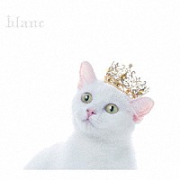 Ａｉｍｅｒ「 ＢＥＳＴ　ＳＥＬＥＣＴＩＯＮ　“ｂｌａｎｃ”」