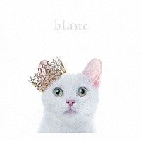 Ａｉｍｅｒ「 ＢＥＳＴ　ＳＥＬＥＣＴＩＯＮ　“ｂｌａｎｃ”」