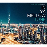 （Ｖ．Ａ．）「 ＩＮ　ＹＡ　ＭＥＬＬＯＷ　ＴＯＮＥ　１３」