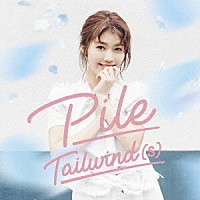 Ｐｉｌｅ「 Ｔａｉｌｗｉｎｄ（ｓ）」