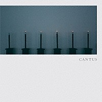 ＣＡＮＴＵＳ「 オディエ」